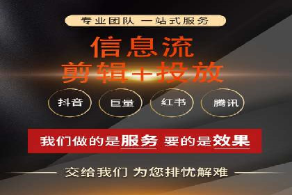 成功SEM服务案例分析报告